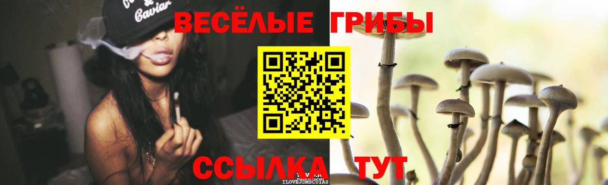 Алушта  Псилоцибиновые грибы Psilocybe  Вход с VPN 